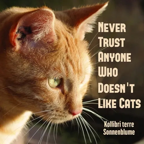 Never Trust Anyone Who Doesn't Like Cats - Paperback