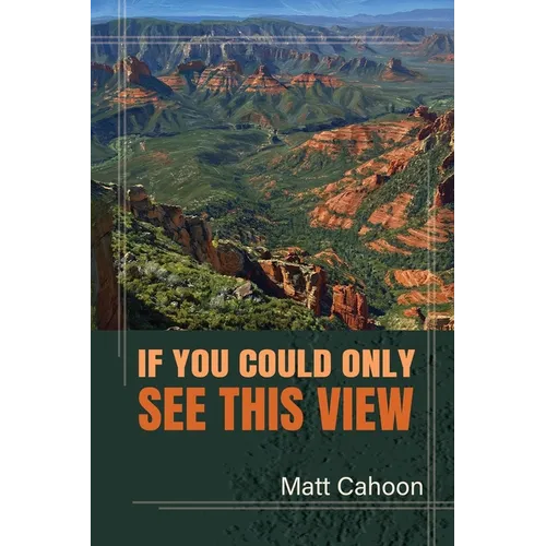 If You Could Only See This View - Paperback