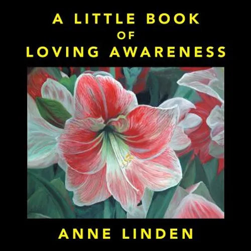 A Little Book of Loving Awareness - Paperback
