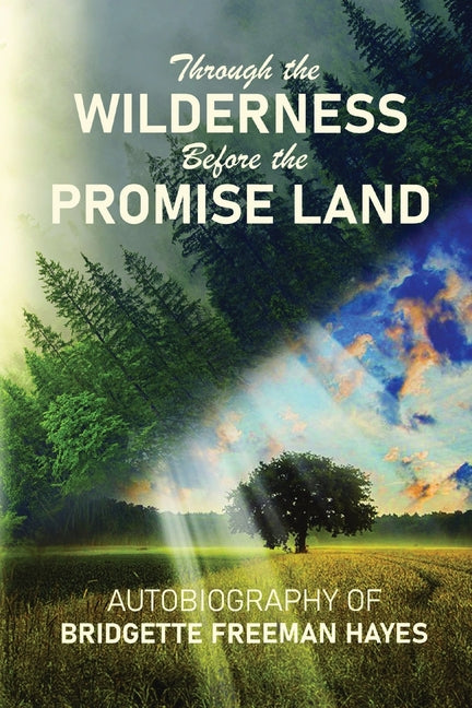 Through the Wilderness Before the Promise Land - Paperback