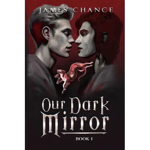 Our Dark Mirror: An M/M Paranormal Shifter Romantic Fantasy - Paperback
