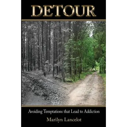 Detour: Avoiding Temptations that Lead to Addiction - Paperback
