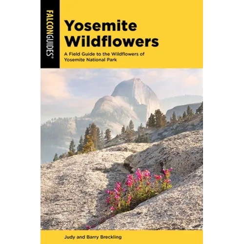 Yosemite Wildflowers
