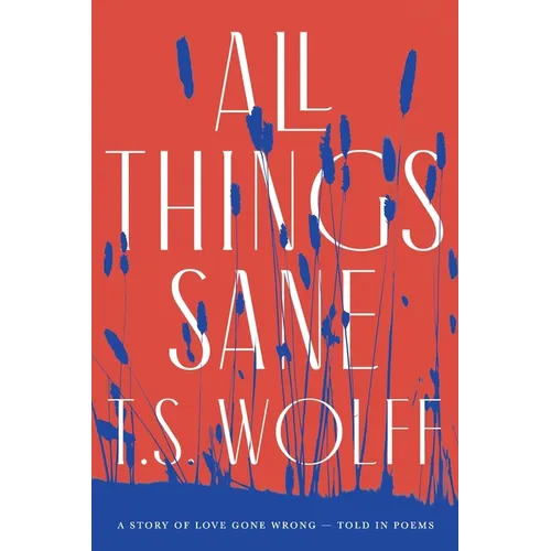 All Things Sane: A Story of Love Gone Wrong - Told in Poems - Paperback