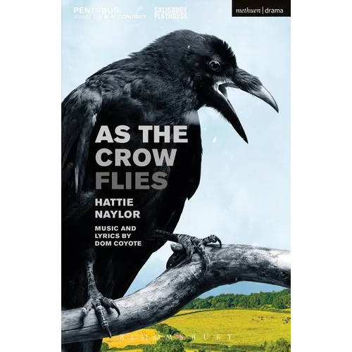 As the Crow Flies - Paperback