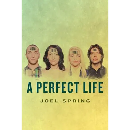 A Perfect Life - Paperback