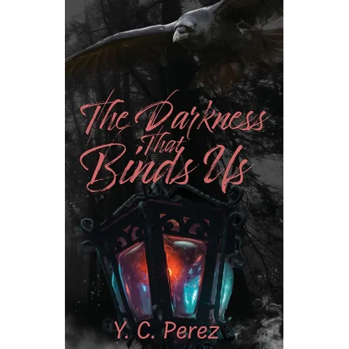 The Darkness That Binds Us - Paperback