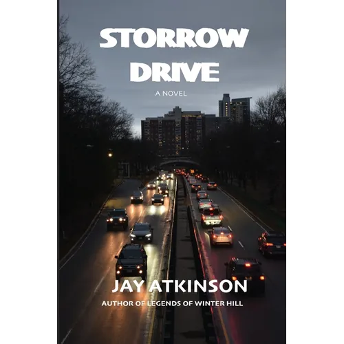 Storrow Drive - Paperback