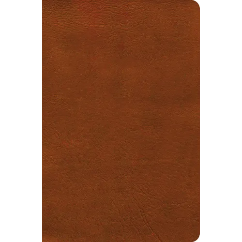 NASB Verse-By-Verse Reference Bible, Burnt Sienna Leathertouch - Imitation Leather