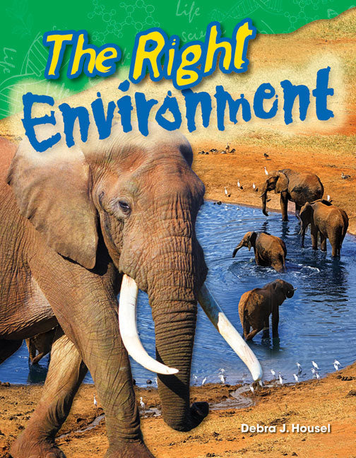 The Right Environment - Paperback