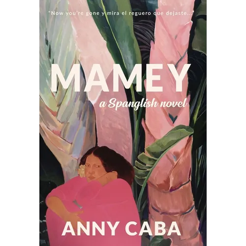 Mamey: a Spanglish novel - Hardcover