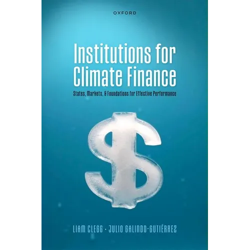 Institutions for Climate Finance: States, Markets, and Foundations for Effective Performance - Hardcover