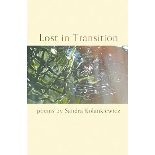Lost in Transition - Paperback