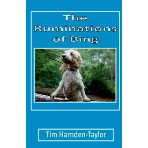 The Ruminations of Bing: Lines From My Forehead 3 - Paperback