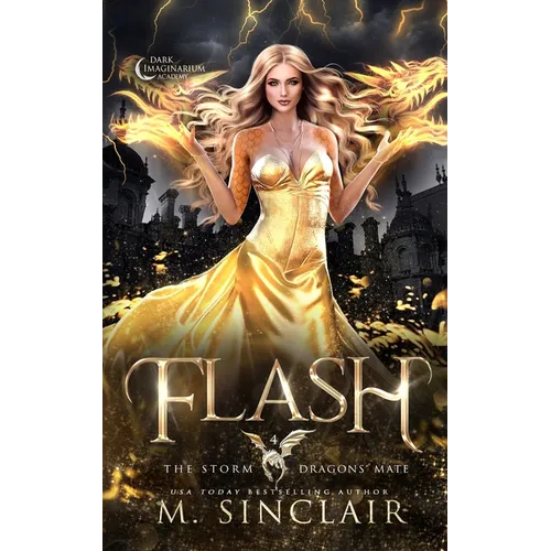 Flash - Paperback