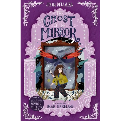 The Ghost in the Mirror: Volume 4 - Paperback