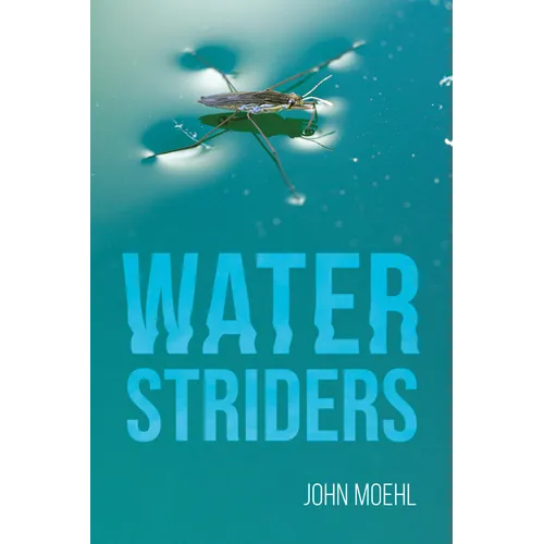 Water Striders - Paperback