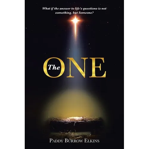 The ONE: What if the answer to life's questions is not something, but Someone? - Paperback