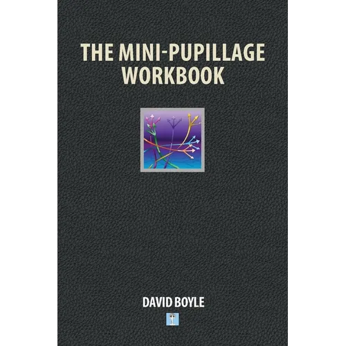 The Mini-Pupillage Workbook - Paperback