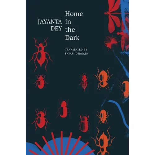 Home in the Dark: Selected Stories - Hardcover