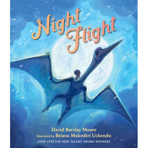 Night Flight - Hardcover