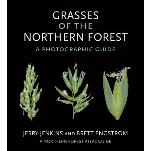 Grasses of the Northern Forest: A Photographic Guide - Paperback