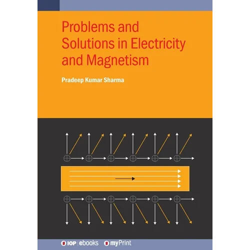 Problems and Solutions in Electricity and Magnetism - Paperback