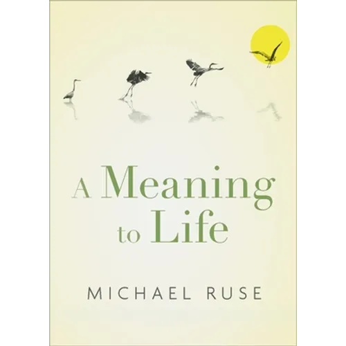 A Meaning to Life