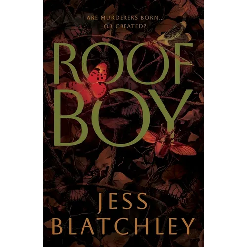 Roofboy - Paperback