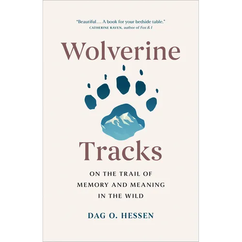 Wolverine Tracks: On the Trail of Memory and Meaning in the Wild