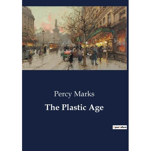 The Plastic Age: The Journey of Self-Discovery and Growth in College Life - Paperback