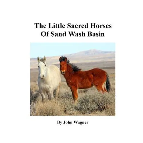 Little Sacred Horses of Sand Wash Basin - Paperback