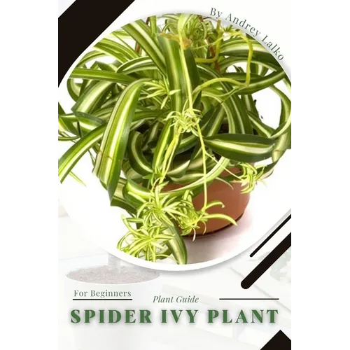 Spider Ivy Plant: Plant Guide