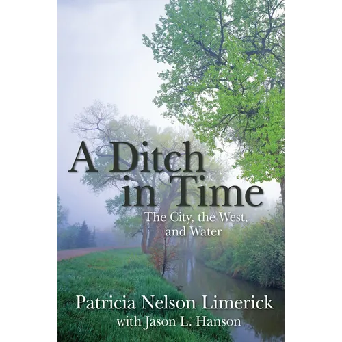 A Ditch in Time: The City, the West, and Water - Paperback