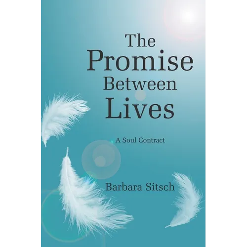 The Promise Between Lives: A Soul Contract