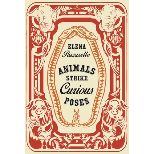 Animals Strike Curious Poses - Paperback