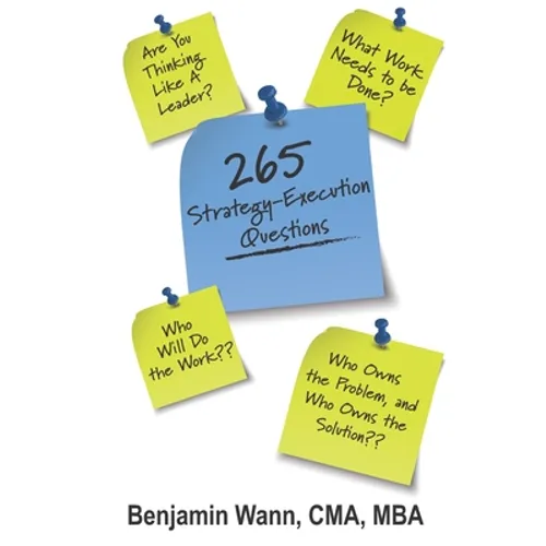 265 Strategy-Execution Questions: 265 Strategy-Execution Questions to assess your organization, function, team, and self - Paperback