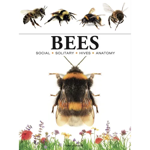 Bees - Paperback
