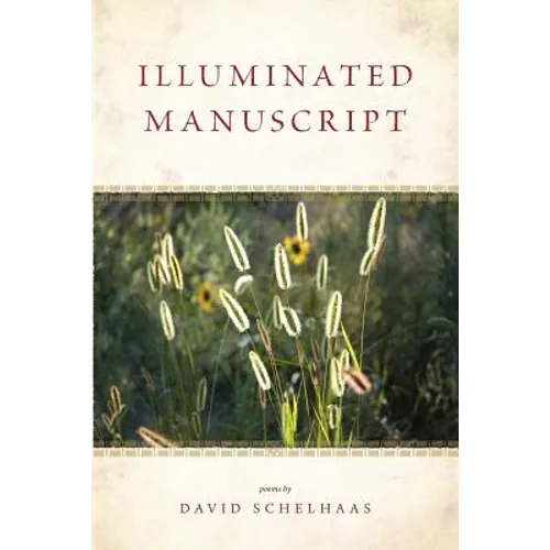Illuminated Manuscript - Paperback