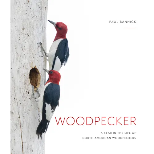 Woodpecker: A Year in the Life of North American Woodpeckers - Hardcover