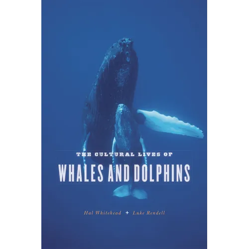 The Cultural Lives of Whales and Dolphins - Paperback