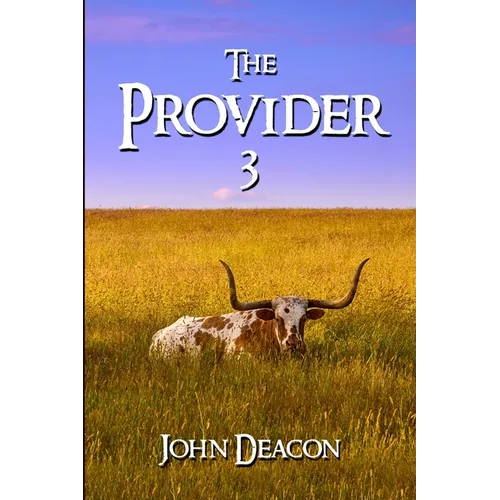 The Provider 3 - Paperback