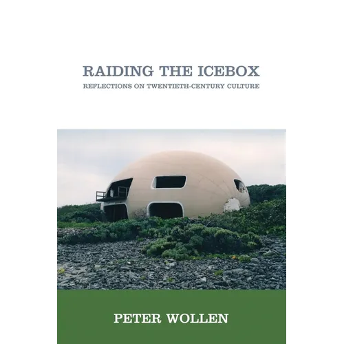 Raiding the Icebox: Reflections on Twentieth-Century Culture - Paperback