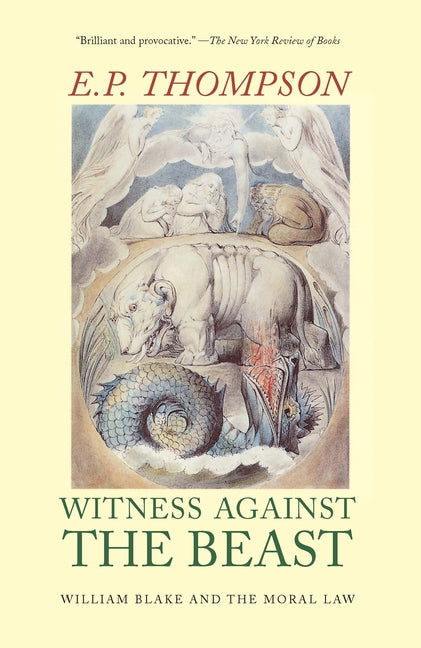 Witness Against the Beast: William Blake and the Moral Law - Paperback