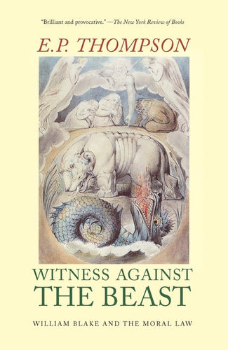 Witness Against the Beast: William Blake and the Moral Law - Paperback