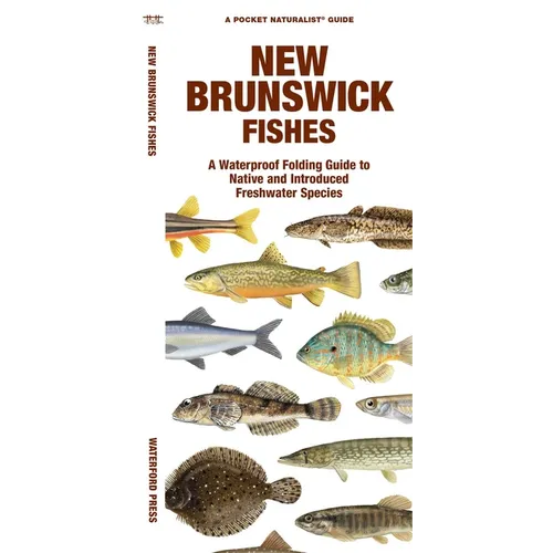 New Brunswick Fishes: A Folding Guide to Native and Introduced Freshwater Species - Paperback