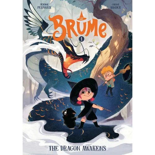 Brume, Volume 1: The Dragon Awakens - Hardcover