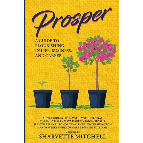 Prosper: A Guide to Flourishing in Life, Business, and Career - Paperback