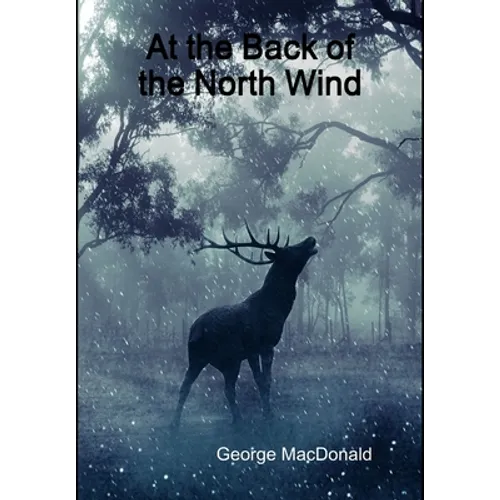 At the Back of the North Wind - Hardcover