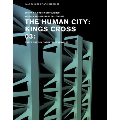 The Human City: Kings Cross - Paperback